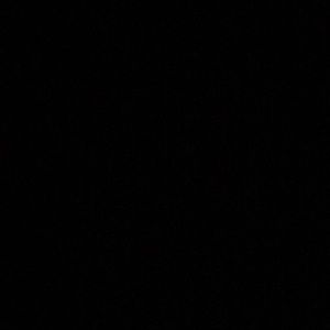 Meet your Posher, Maggie